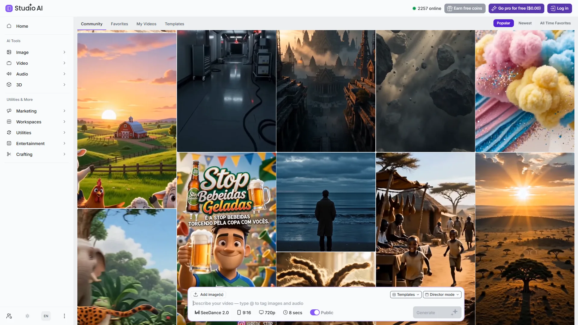 Owner-captured Creative Fabrica video-generation and template controls with example videos as captured.