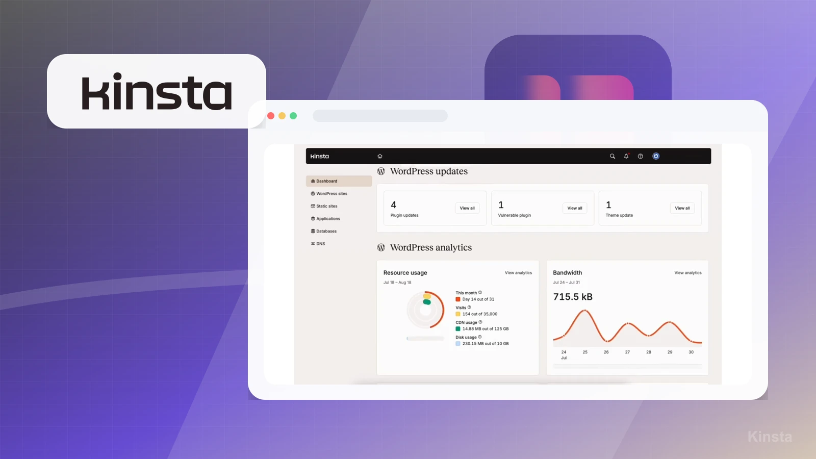 Kinsta screenshot thumbnail 2
