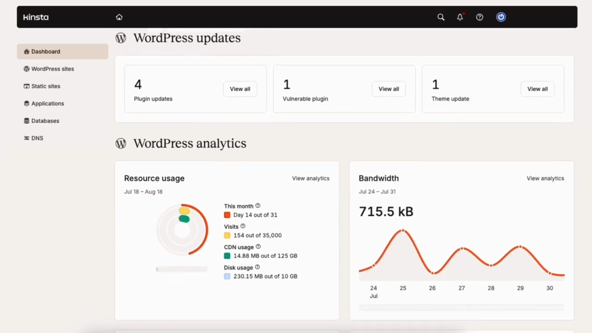 Kinsta WordPress updates and analytics panels showing plugin, core, and theme update counts plus resource and bandwidth charts.
