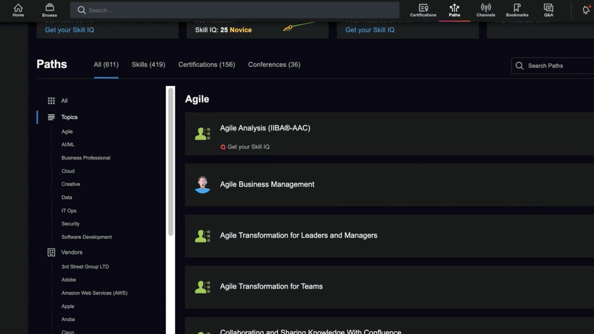 Owner-captured Pluralsight learning-path tabs, filters, search, and course groupings as captured.